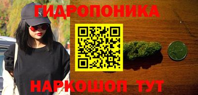 твердый Будённовск
