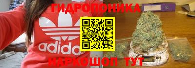 твердый Будённовск